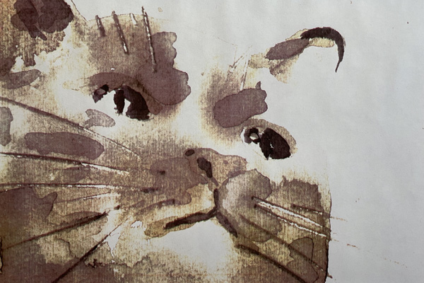 Bernd Luz Frühwerk / Schaffensphasen Aquarell Kater